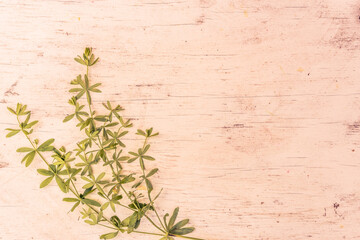 Grass on old wooden table
