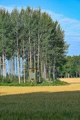 Agriculture field of grain and hunting tower