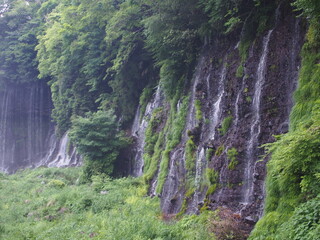 富士宮　白糸の滝