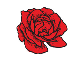 Rose flower, hand drawn illustration