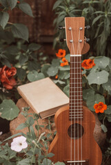 a ukulele and a book among wildflowers