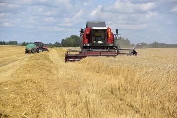 The grain harvester collects ripe ears of wheat grain on a summer day.