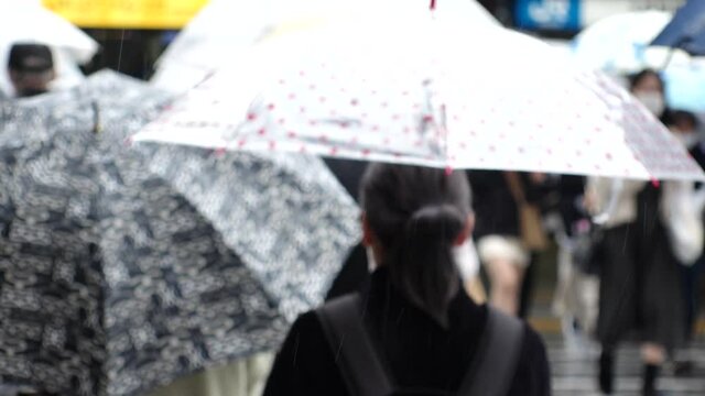 OSAKA, JAPAN - APR 2021 : Back shot of crowd of people walking down the street. Slow motion shot in rain. Commuters with umbrella.