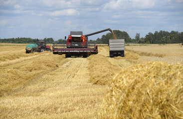 Fototapeta na wymiar A large wheat field, a combine harvester unloads grain into a truck.