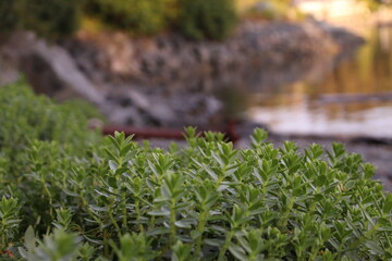 Sitka, Alaska Landscapes and Nature