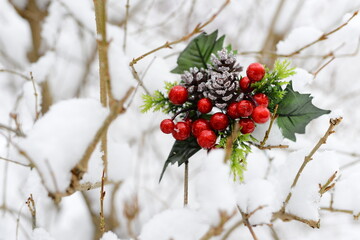 winter view of the park before Christmas