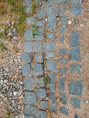 stone path made of paving stones in Pavlovsky Park