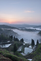 新潟、棚田の景色