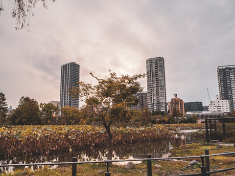 I Played At Ueno Zoo.