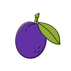 Plum. Fruit with leaves isolated sketch. Color food icon. Vector illustration