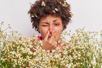 Headshot of curly haired young ethnic woman has problems with breathing holds nose suffers from allergy to camomile holds big bouquet of flowers has red itchy eyes. Allergic reaction on pollen - obrazy, fototapety, plakaty