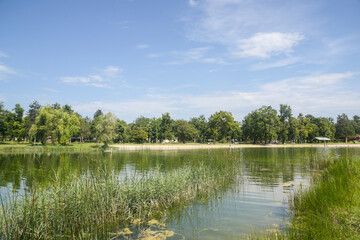Obraz na płótnie Canvas vue d'un lac et des arbres. Un lac avec des fleurs un ciel bleu et un nuage
