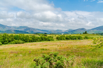 Rural Welsh landscape