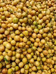 Baccaurea motleyana or Lotkon in Bangla a mouthwatering testy fruits.