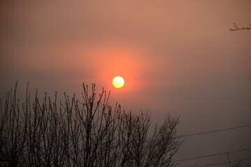A beautiful landscape with a midnight sun above arctic circle. Dreamy scenery with light flares