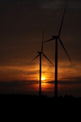 Obraz premium Windräder in der Abendsonne