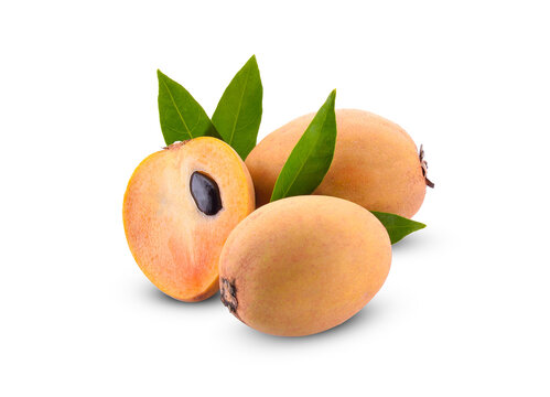fresh sapodilla fruits on white background