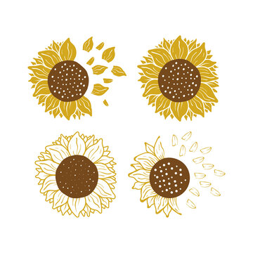 Sunflower icon design set bundle template isolated