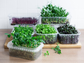 Assortment of micro greens on wooden table