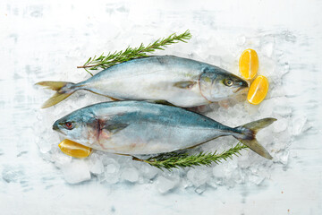 Two fish Tuna with lemon, rosemary and spices on ice. Top view. Flat lay.