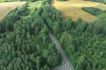 Asfaltowa droga w wysokim sosnowym lesie. Widok z drona.
