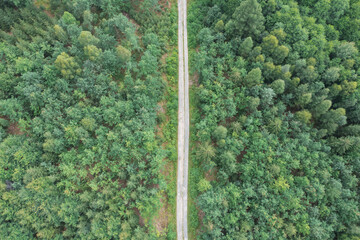 Gruntowa droga przebiegająca przez wysoki, sosnowy las. Widok z dużej wysokości. Zdjęcie zrobione z użyciem drona.