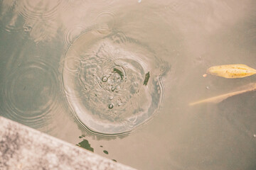 Obraz premium I traveled to Southeast Asia such as Thailand and Singapore.