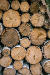 stack of birch firewood