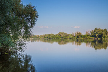 River with cane and trees on the riverside in the morning. Morning riverbank on a calm and clear summer morning. Desna river. Ukraine