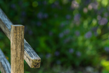 wodden fence from a herb garden in the nature