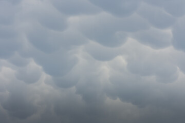 wonderful round mammatus clouds on the sky