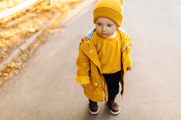 happy little child walking in autumn park with autumn yellow leaves