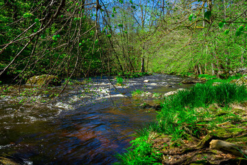 Hiking through Ilztal from Diessenstein to the Schneidermill in the Bavarian Forests Germany