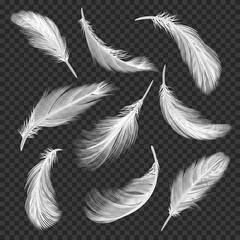 White feathers set. Bird fluffy feather collection. Realistic vector illustration isolates on white background