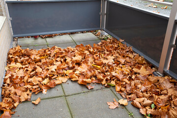 yellow maple autumn leaf lying covered on balcony of appartment, pile of autumn leaves needs cleaning up