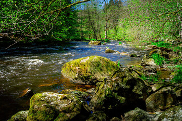 Hiking through Ilztal from Diessenstein to the Schneidermill in the Bavarian Forests Germany