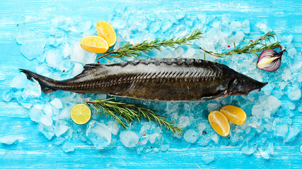 Sturgeon fish with lemon, rosemary and spices on ice. Top view. Flat lay.