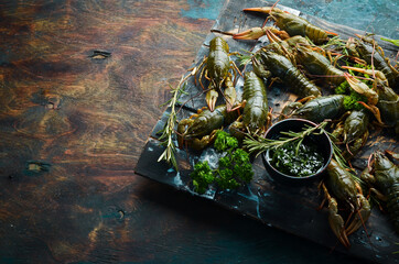 Fototapeta premium Live European crayfish. Fresh uncooked raw crayfish ready for cooking. Free space for your text. Top view. Flat lay.