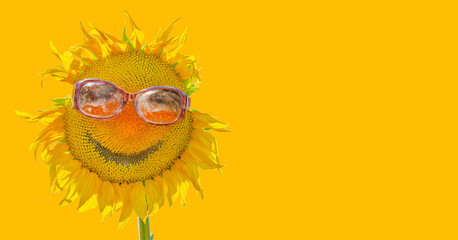 Smiling sunflower with sunglasses isolated on yellow background as concept good mood of healthy lifestyle  for positive advertising banner, poster, label, greeting card, invitation, etc.	