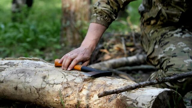 The ax on a tree trunk. The tourist's hand takes an heavy ax to cut a branch. Tourism concept. Preparing firewood for the fire. Sunny day in the forest. The basics of survival.