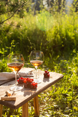 Picnic with wine and fruits in a summer garden