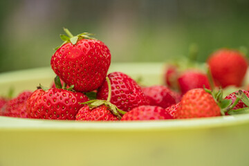 strawberry in a bowl
