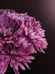 Bouquet of flowers that I cut out background and added color and lighting