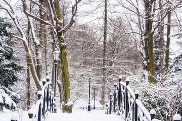 Zaśnieżony most w parku