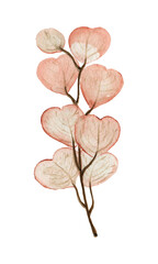 Watercolor botanical decorative illustration for wedding invitation card.Foliage blooming.Spring Green twigs and leaves watercolor  set of watercolor green plants. Delicate twigs and leaves on a white