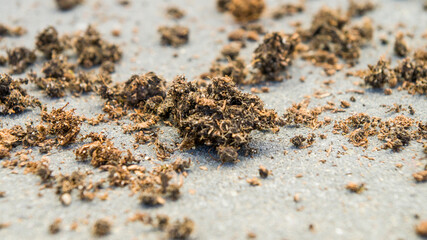 Cząstki gleby © Sebastian