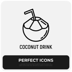 Coconut drink with straw thin line icon. Modern vector illustration of exotic beverage.