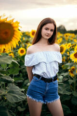 Cute attractive young girl walk through yellow bouquet blooming sunflower field outdoors sunset warm nature background. Woman stopped while travel on weekend copyspace. Summer holiday relax
