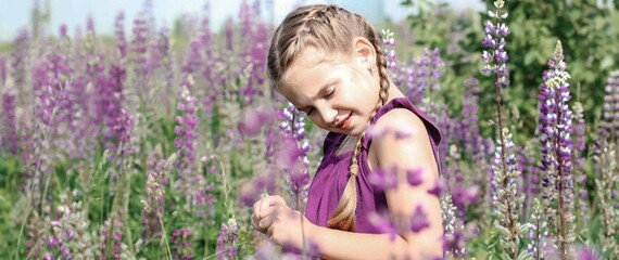 Beautiful little cute girl walking in the field among blooming purple, pink and blue lupin, lupine, lupinus flowers in sunlight. Floral, spring, summer, vacation banner.