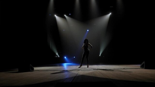 Silhouette of a luxurious singer on a stage in the dark.